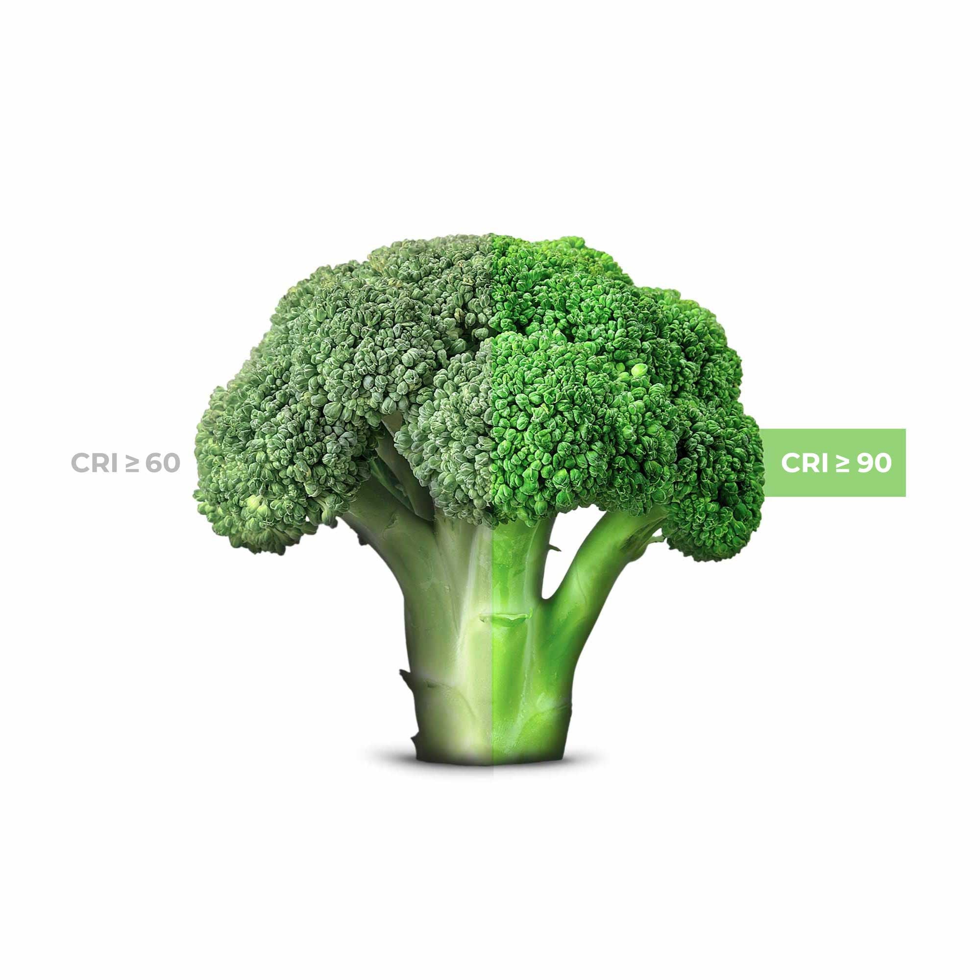 Proyector LED para carril monofásico - Verdulerías - 40W (17)