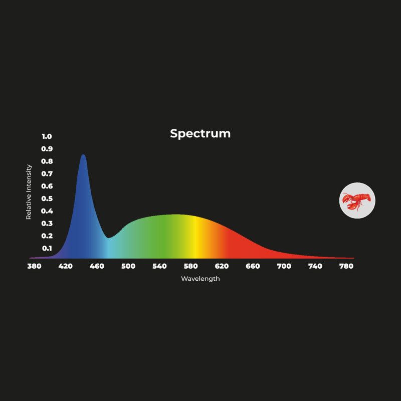 Proyector LED para carril monofásico 40W - Pescados y Mariscos (16)