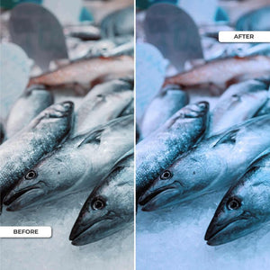 Proyector LED para carril monofásico 40W - Pescados y Mariscos (26)