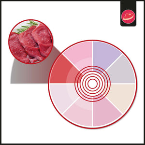 Proyector LED para carril monofásico 40W - Carnicerías (29)