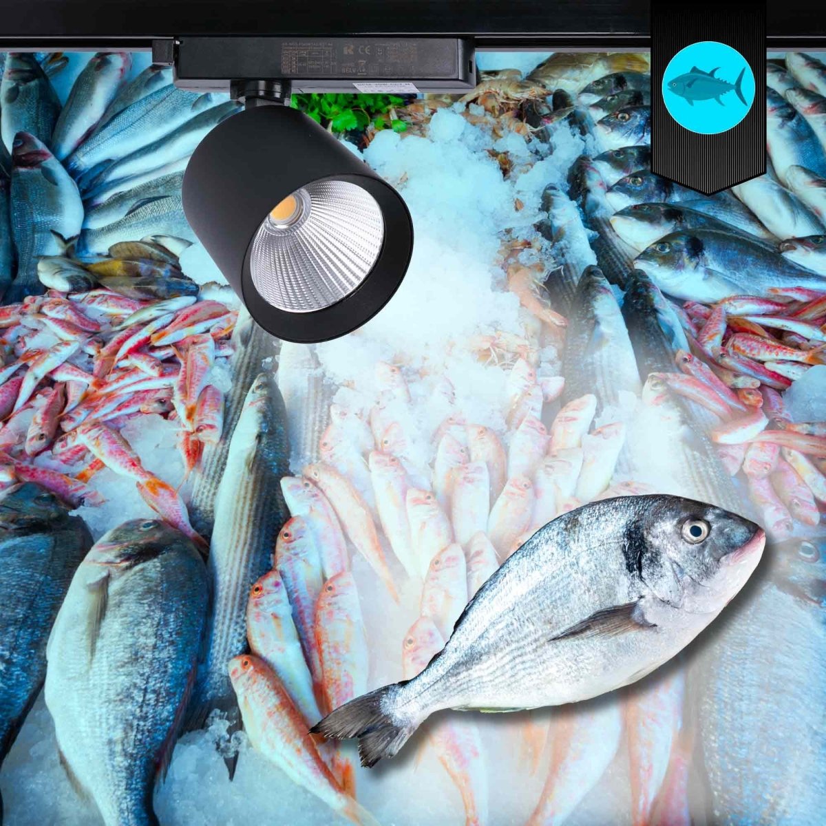 Proyector LED para carril monofásico 40W - Pescados y Mariscos - Barcelona Led-