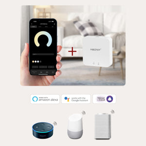 Foco de suspensión para carril magnético 48V - CCT - 9W - RF 2.4GHz -  Mi Light (1)