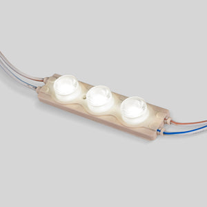 Módulo LED monocolor para rótulos - 3W - 220V AC - IP65 - 16º (16)