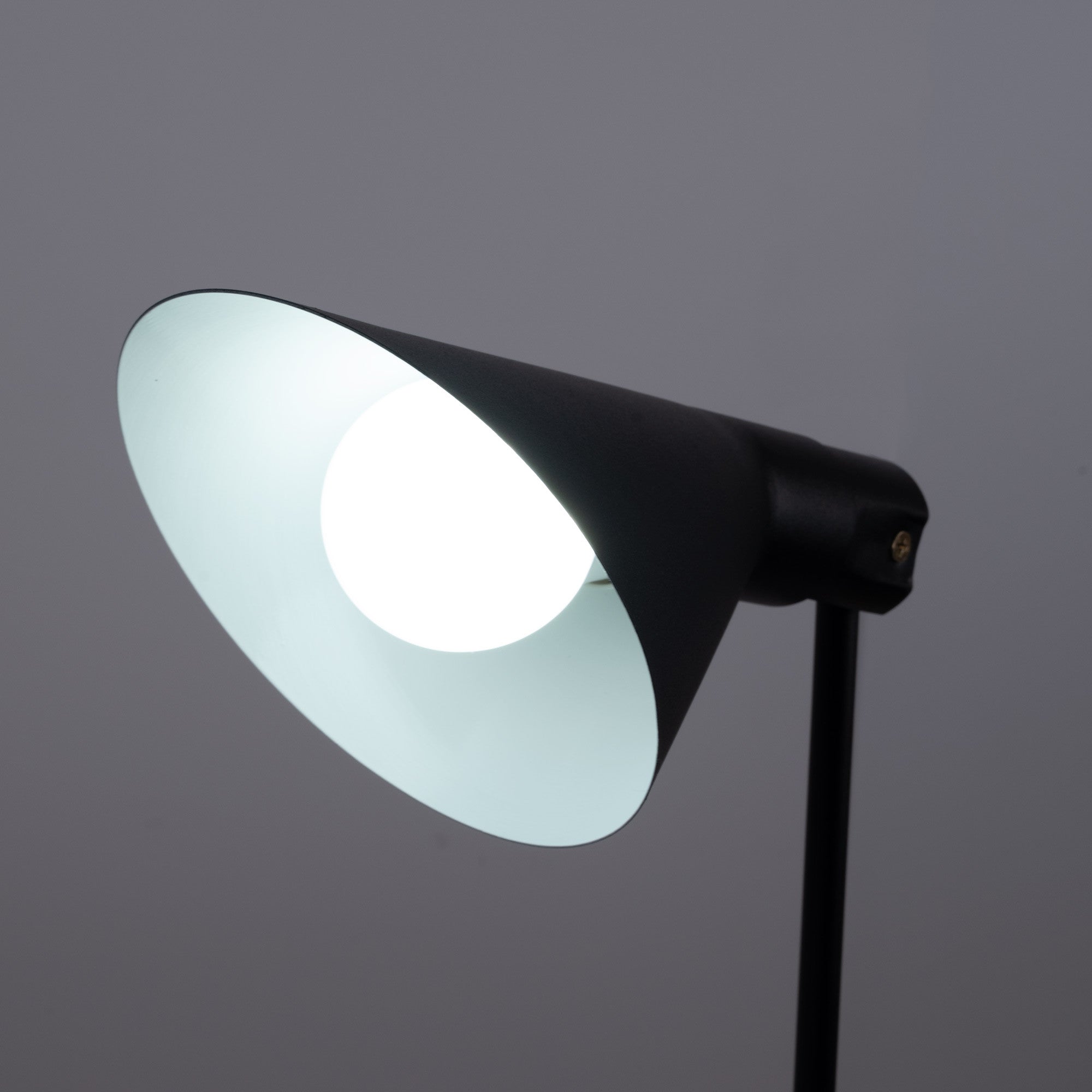 Bombilla LED E27 A60 - 10W - Regulable (5)