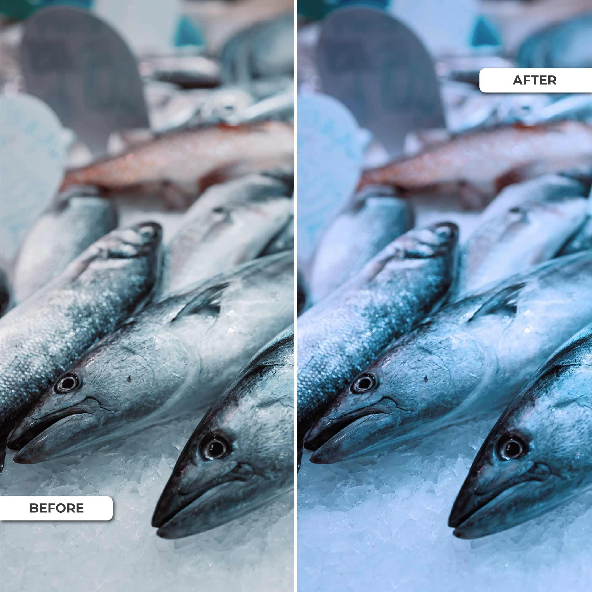 Downlight LED especial para pescaderías - 40W - Driver Philips - Corte Ø210 mm (16)