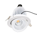 Recessed tiltable LED downlight - Special chip for fishmongers - 40W 5
