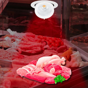 Downlight LED basculante empotrable - Chip especial para comercios - 40W (49)