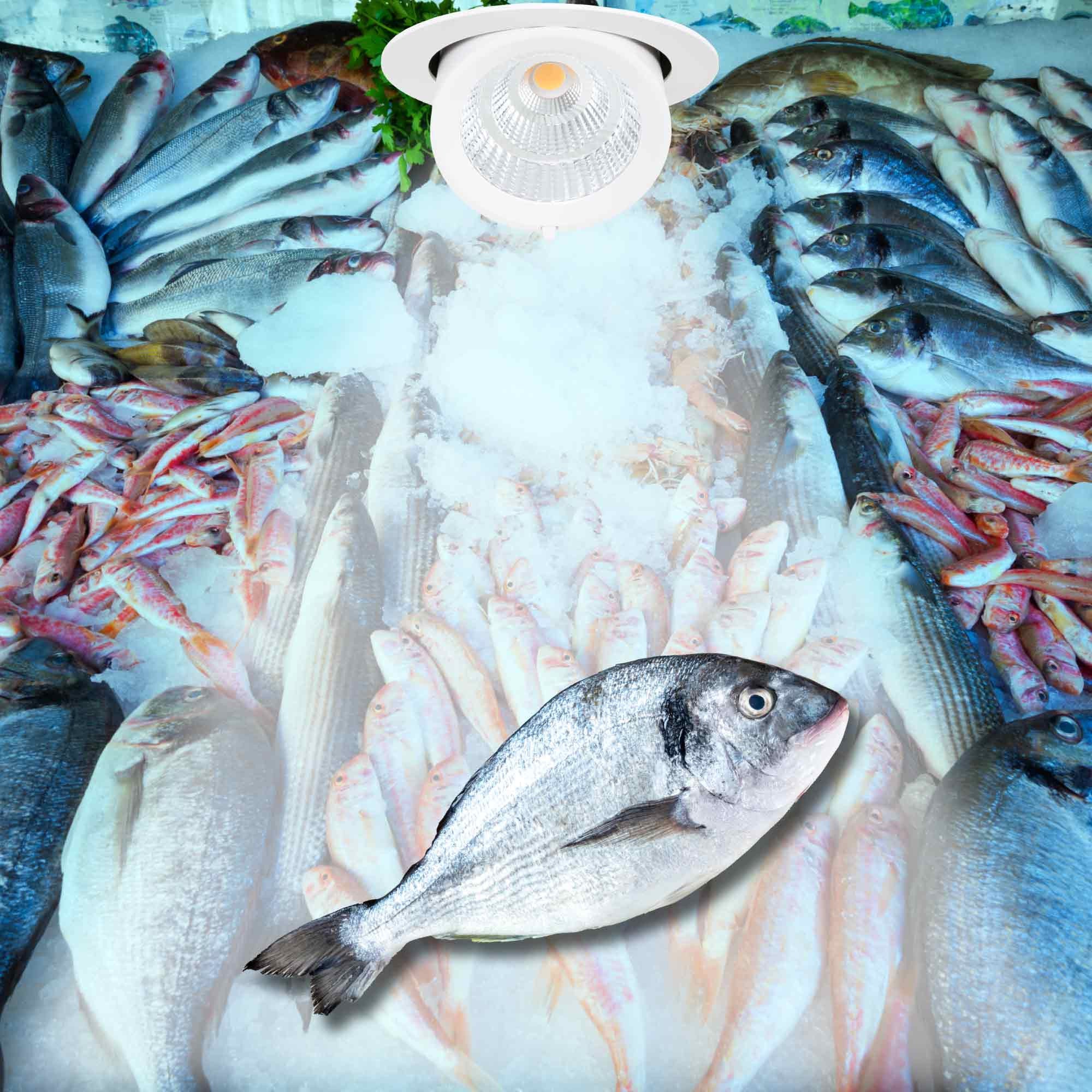 Downlight LED basculante empotrable - Chip especial para comercios - 40W (54)