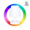 RGBW LED Light Lamp - 6W - Rechargeable 2
