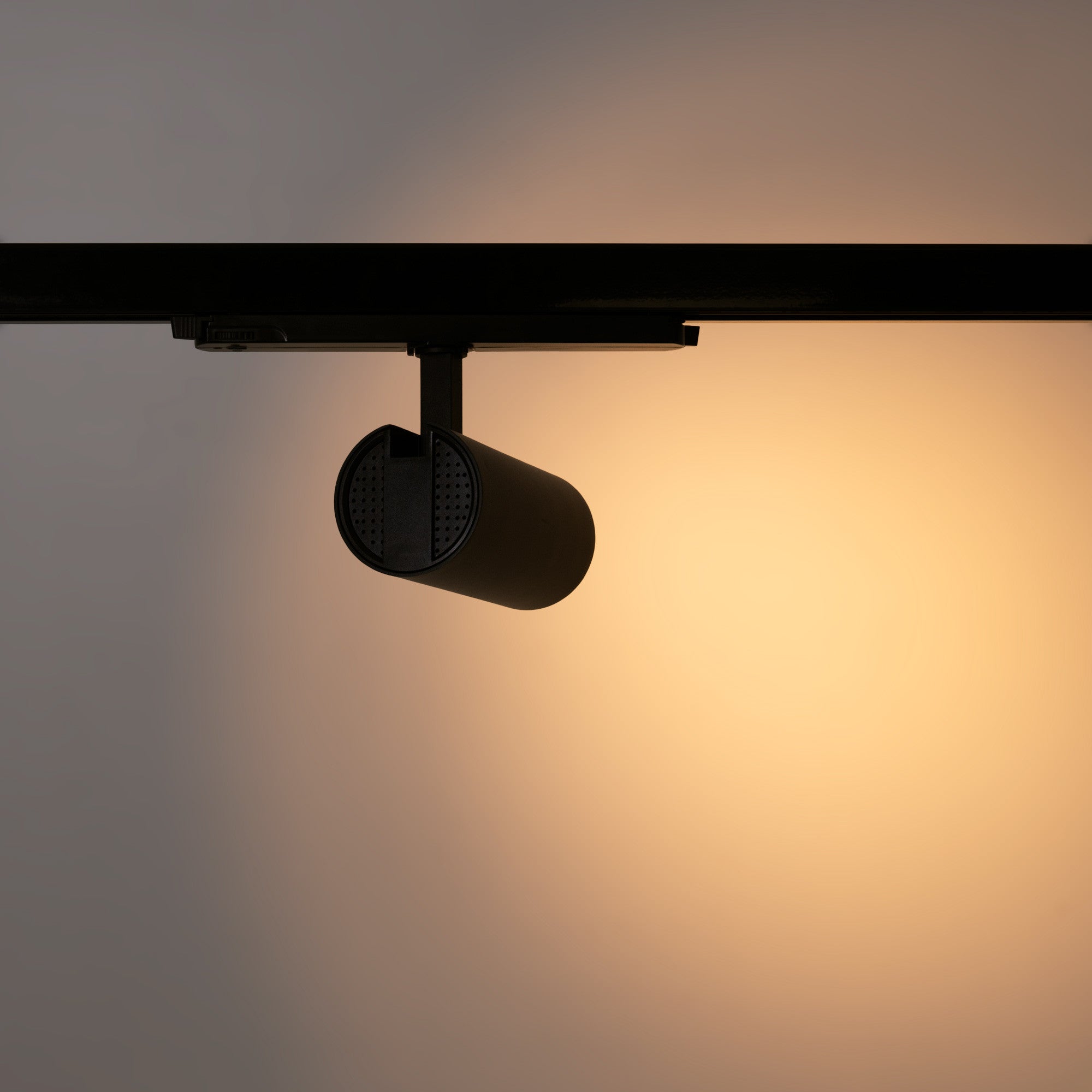 Proyector LED para carril trifásico 20W - DALI - CCT - CRI90 - Chip OSRAM (16)