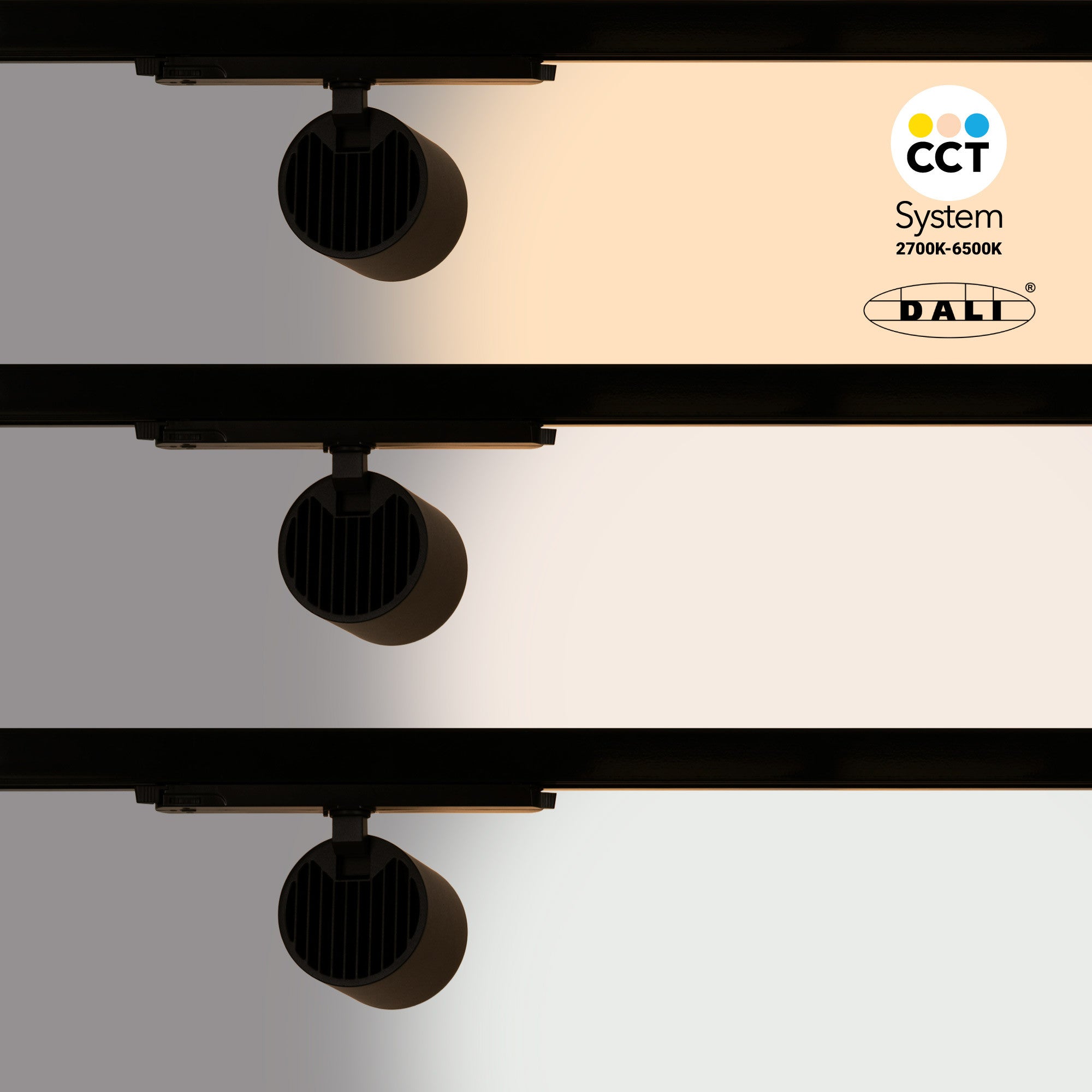 Proyector LED para carril trifásico 36W - DALI - CCT - CRI90 - Chip OSRAM (40)