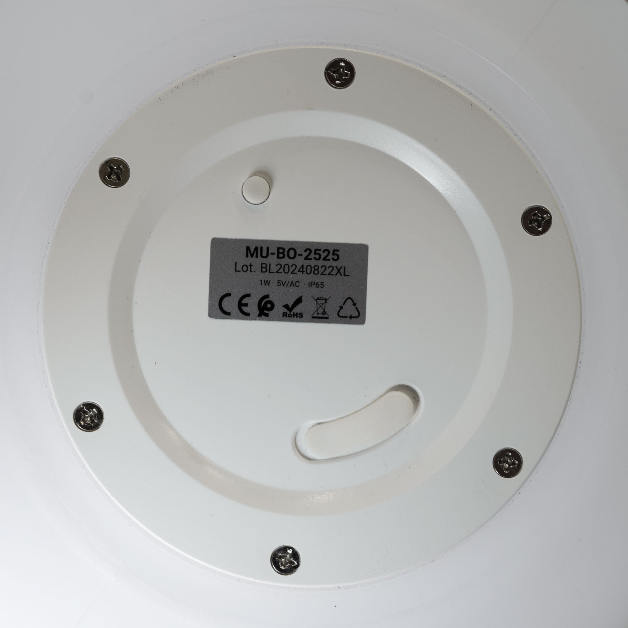 Lámpara de mesa o suelo esfera exterior - RGBW - 1W - Ø25cm - Recargable (6)