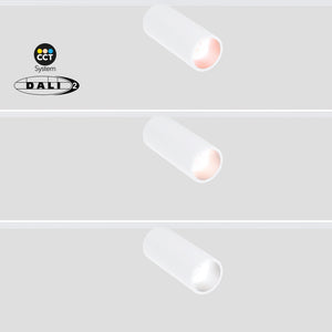 Foco LED para carril magnético 48V - 10W - DALI-2 regulable - Negro (31)