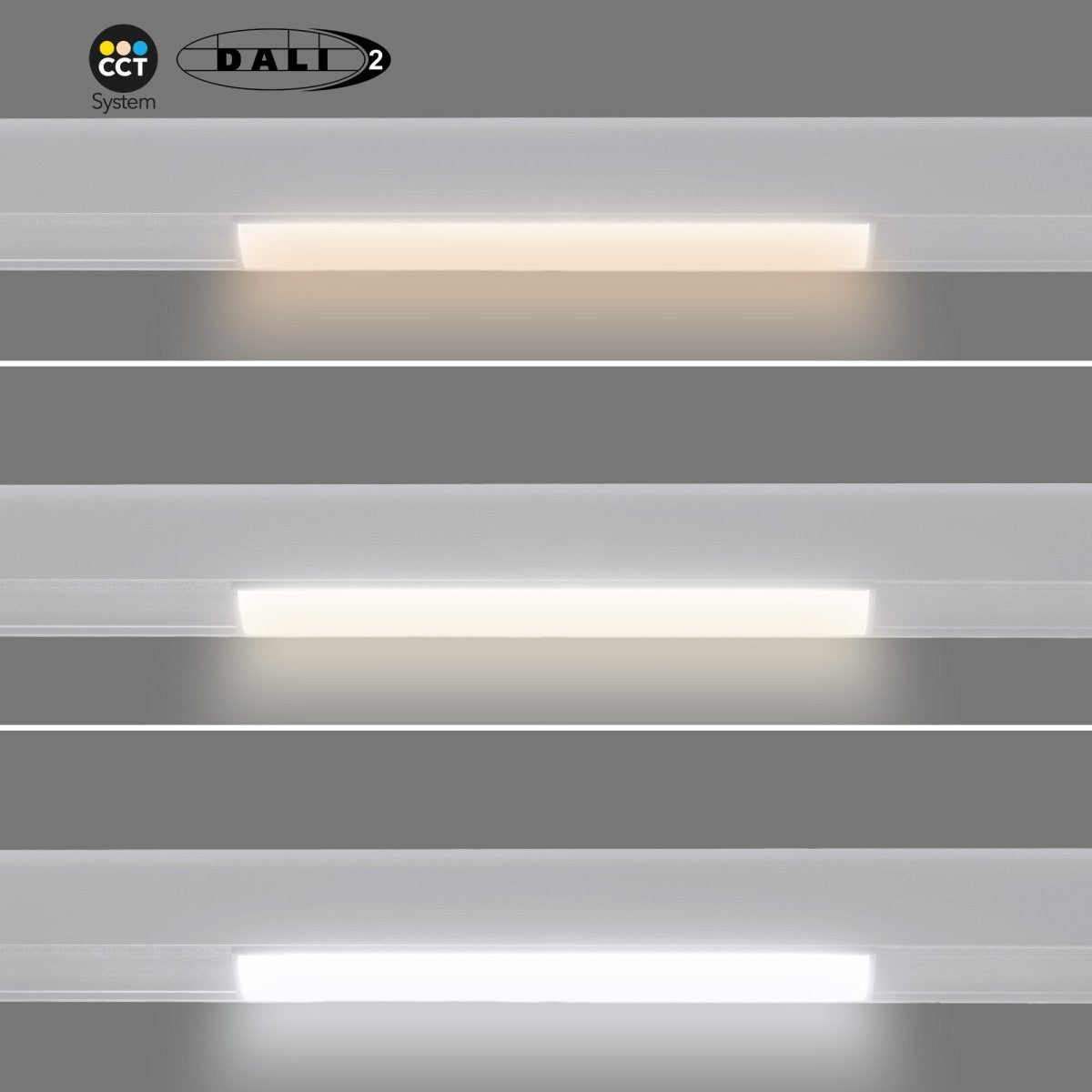 Foco lineal opal para carril magnético 48V CCT - 12W - DALI-2 regulable - Barcelona Led-