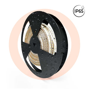 Tira LED 220V AC - Monocolor - 8W/m - 10mm - IP65 - 10 metros - 120ch/m (12)