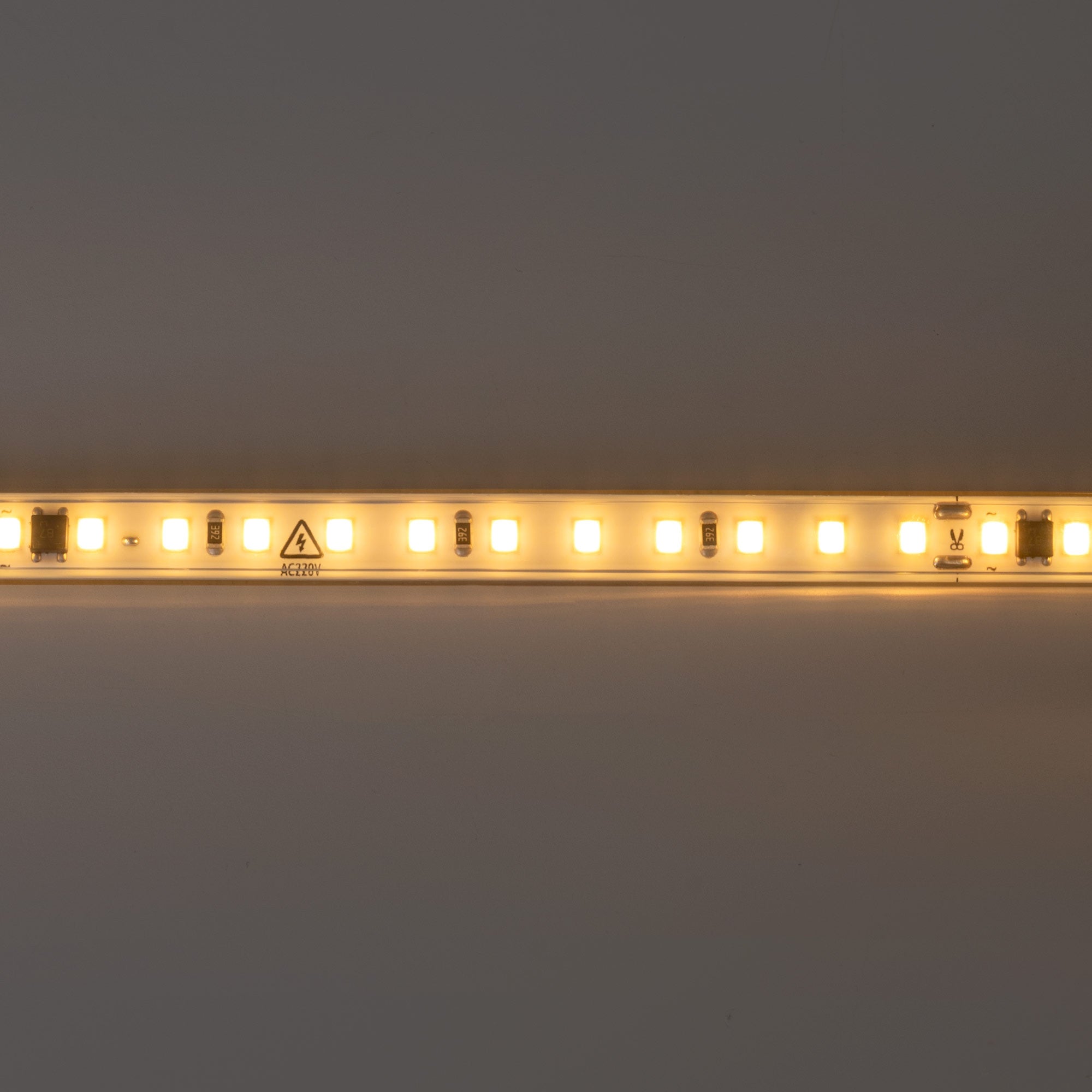 Tira LED 220V AC - Monocolor - 8W/m - 10mm - IP65 - 10 metros - 120ch/m (13)