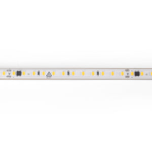 Tira LED 220V AC - Monocolor - 8W/m - 10mm - IP65 - 10 metros - 120ch/m (18)
