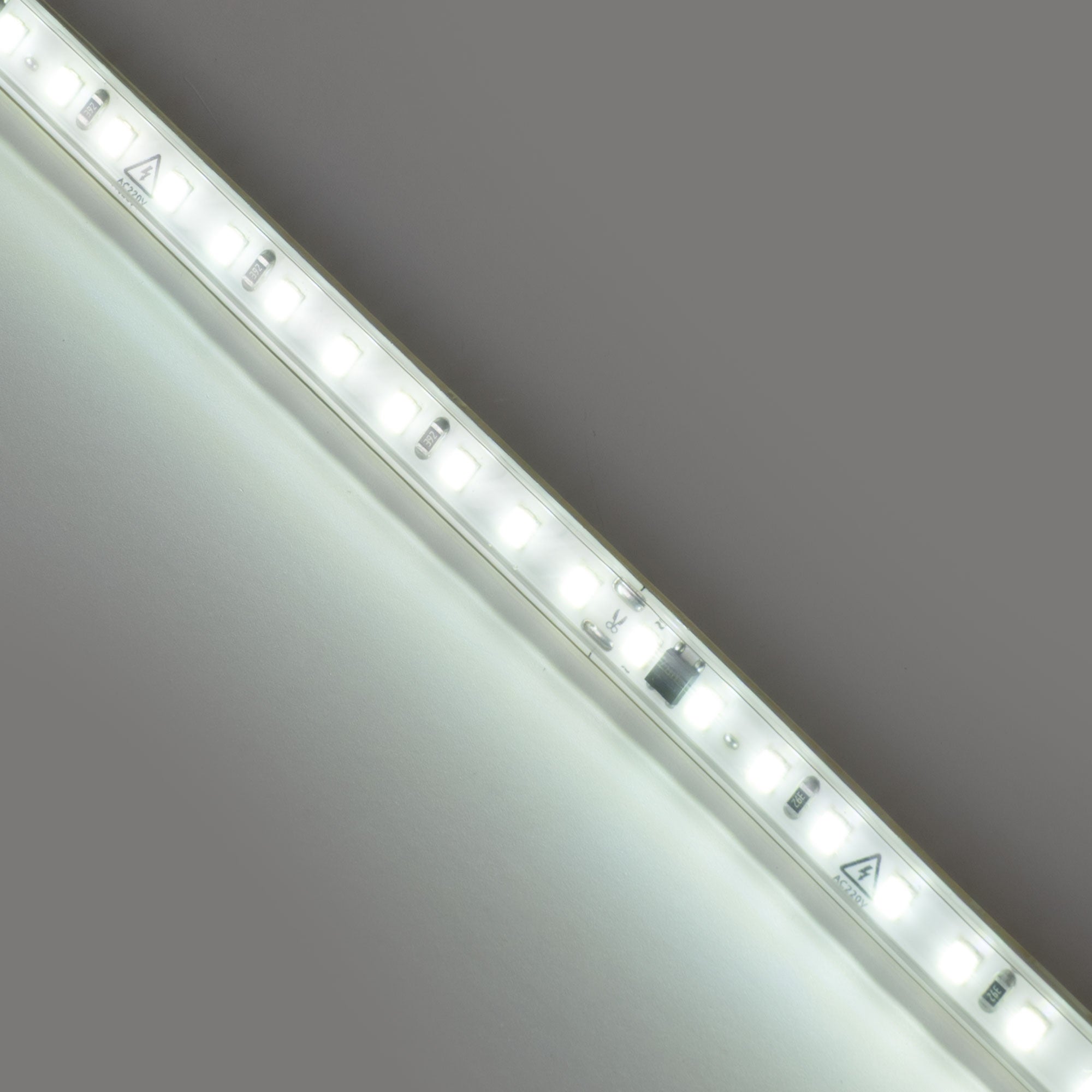 Tira LED 220V AC - Monocolor - 8W/m - 10mm - IP65 - 10 metros - 120ch/m (30)