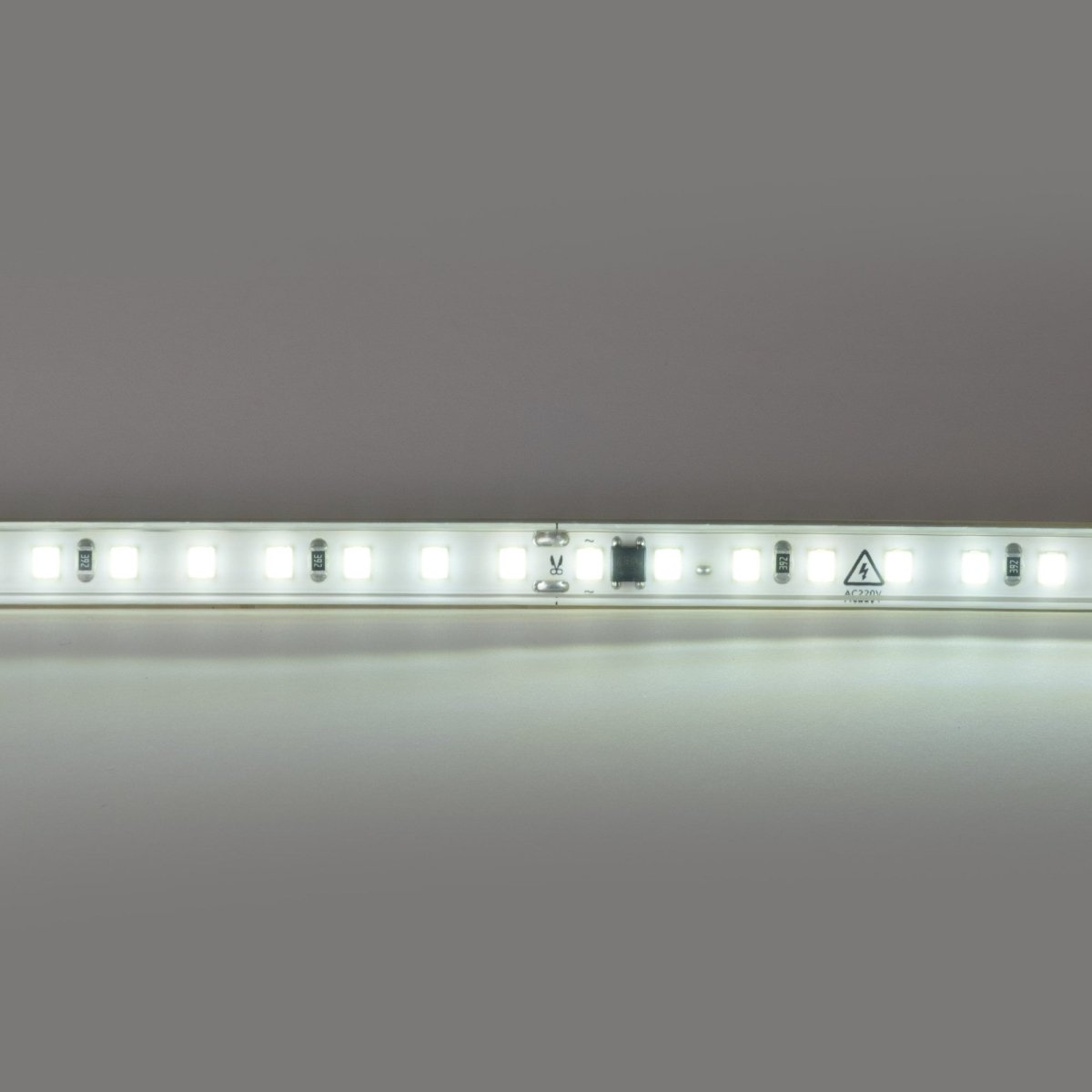 Tira LED 220V AC - Monocolor - 8W/m - 10mm - IP65 - 5 metros - 120ch/m - Barcelona Led-
