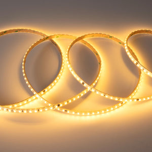 Tira LED 220V AC - Monocolor - 8W/m - 10mm - IP65 - 5 metros - 120ch/m (23)