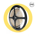 Bande LED 220V AC - Monocouleur - 8W/m - 10mm - IP65 - 5 mètres - 120ch/m 5