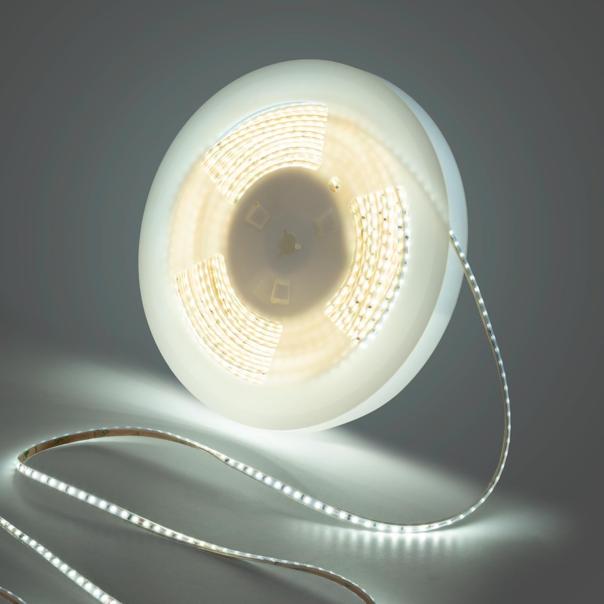 Tira LED 220V AC - Monocolor - 8W/m - 6.5mm - IP44 - 20 metros - 120ch/m - Barcelona Led-