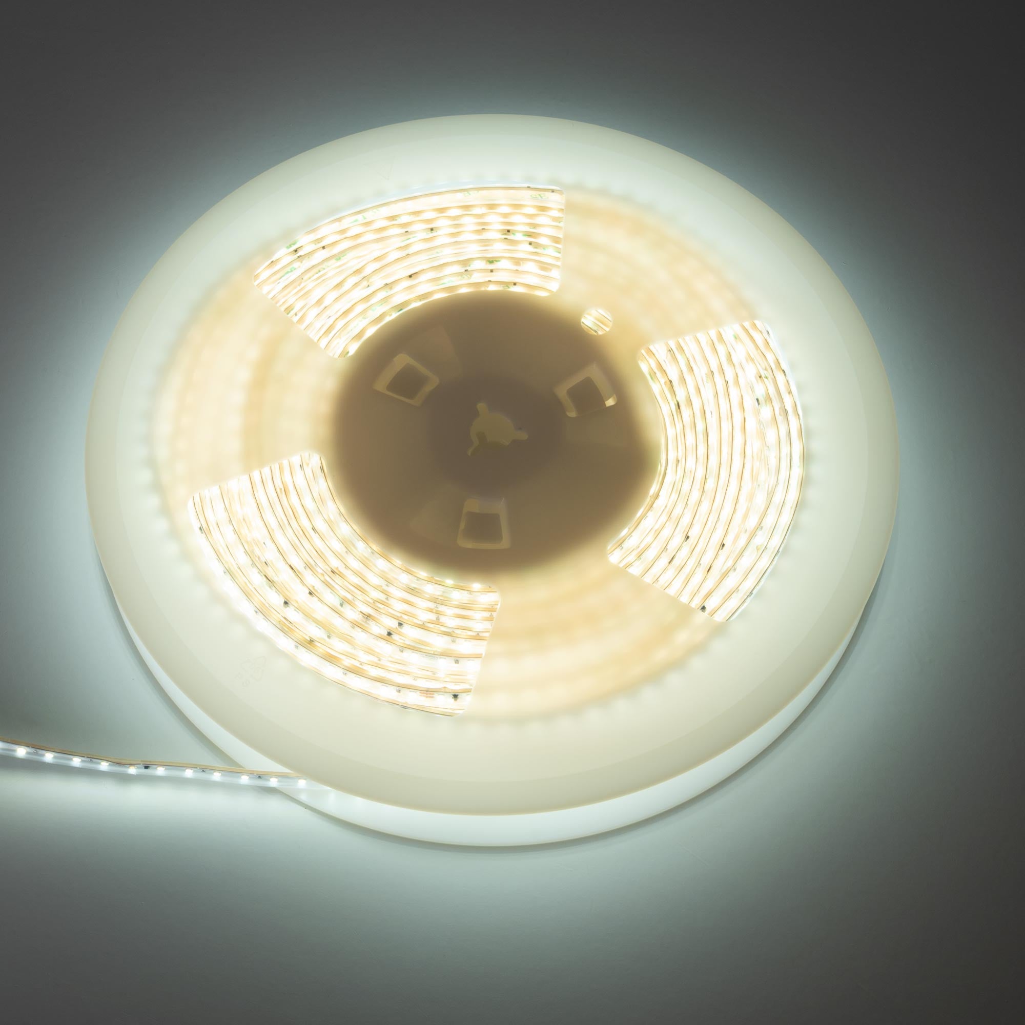 Tira LED 220V AC - Monocolor - 8W/m - 6.5mm - IP44 - 20 metros - 120ch/m (9)