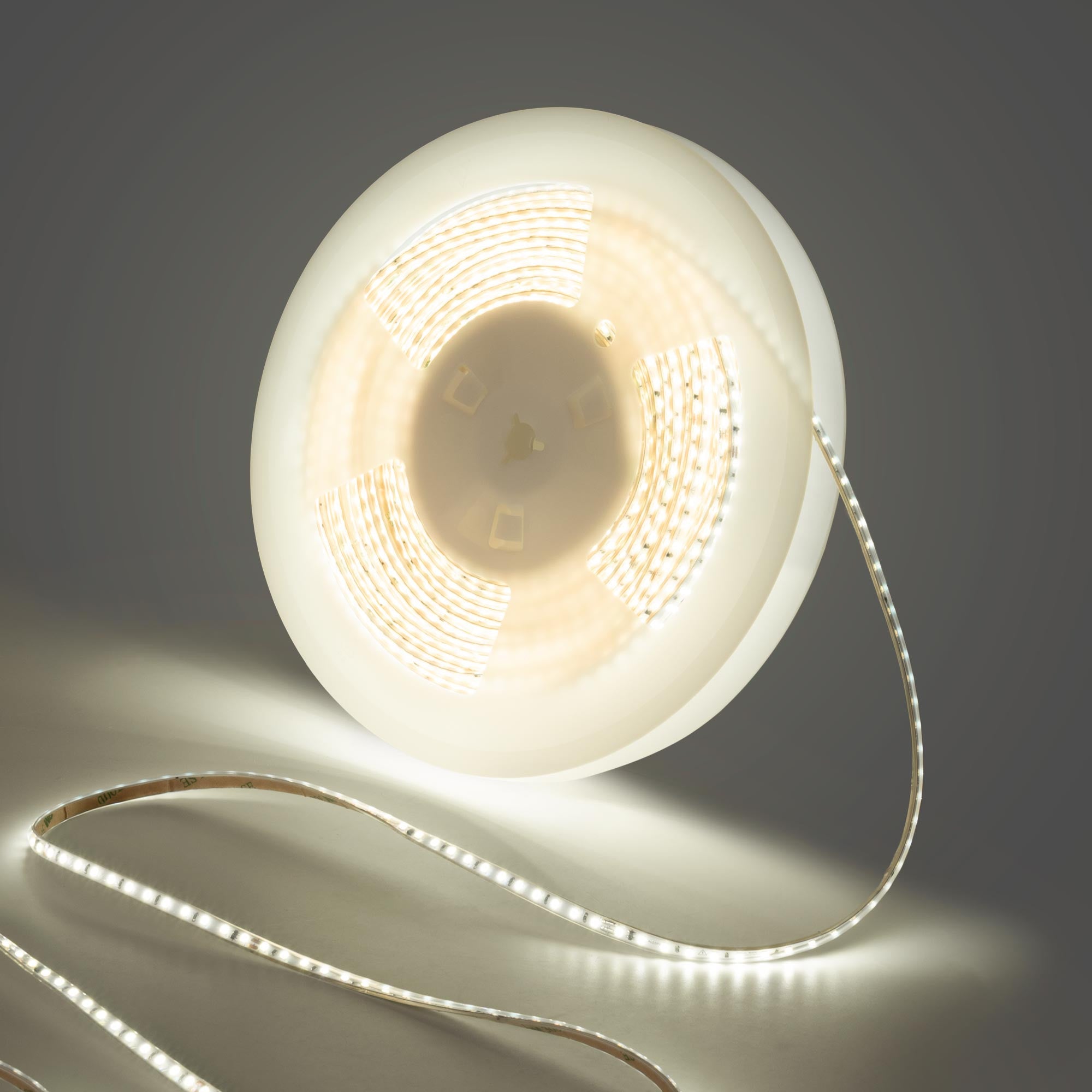 Tira LED 220V AC - Monocolor - 8W/m - 6.5mm - IP44 - 20 metros - 120ch/m (12)