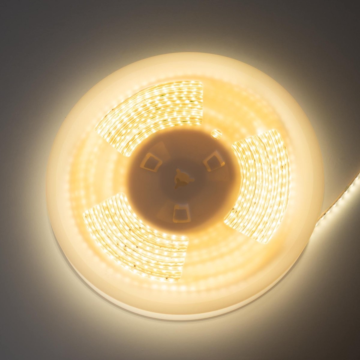 Tira LED 220V AC - Monocolor - 8W/m - 6.5mm - IP44 - 20 metros - 120ch/m - Barcelona Led-