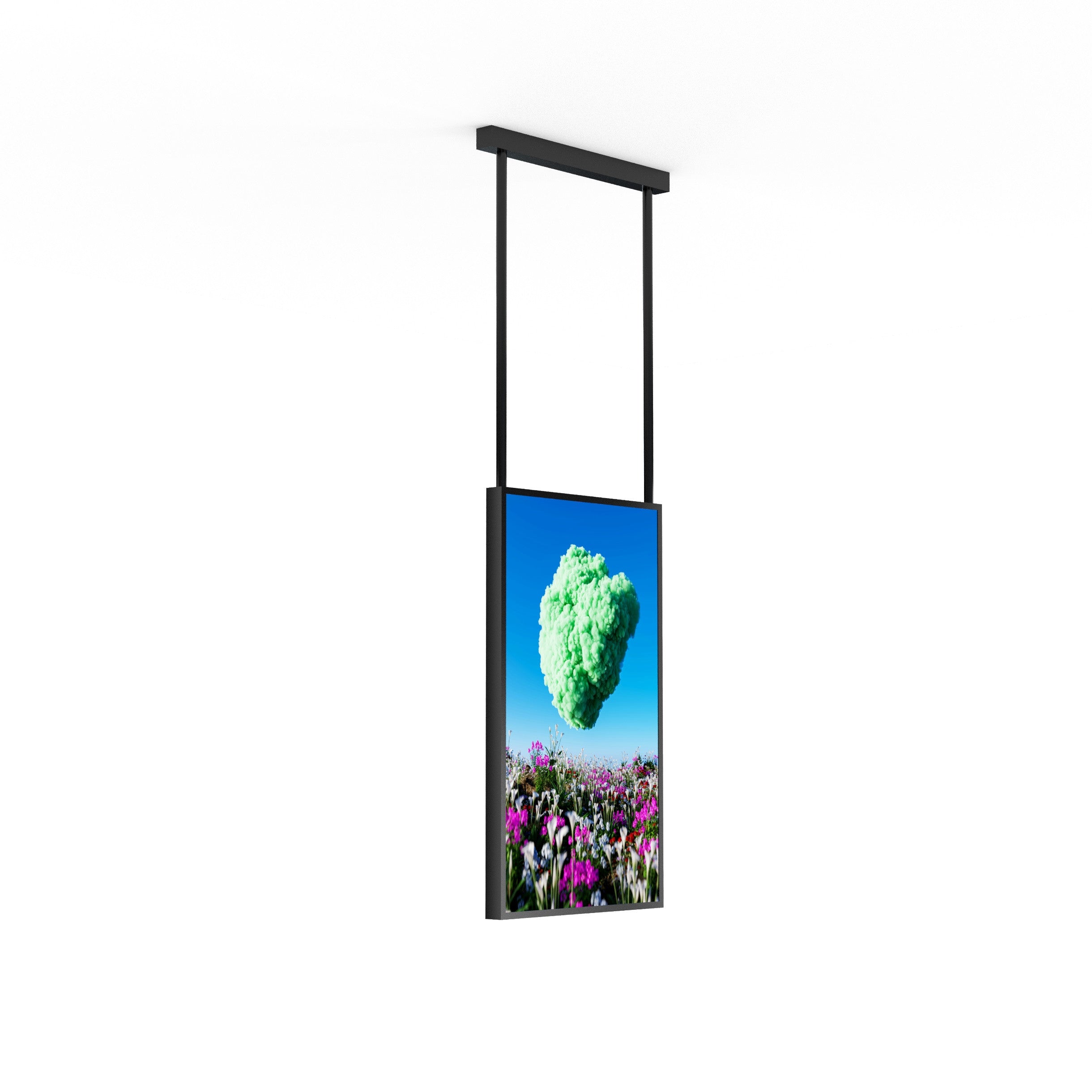 Display LCD FULL HD 43" para Escaparates con Soporte de techo - Alto Brillo 2500 NITS - Android (4)