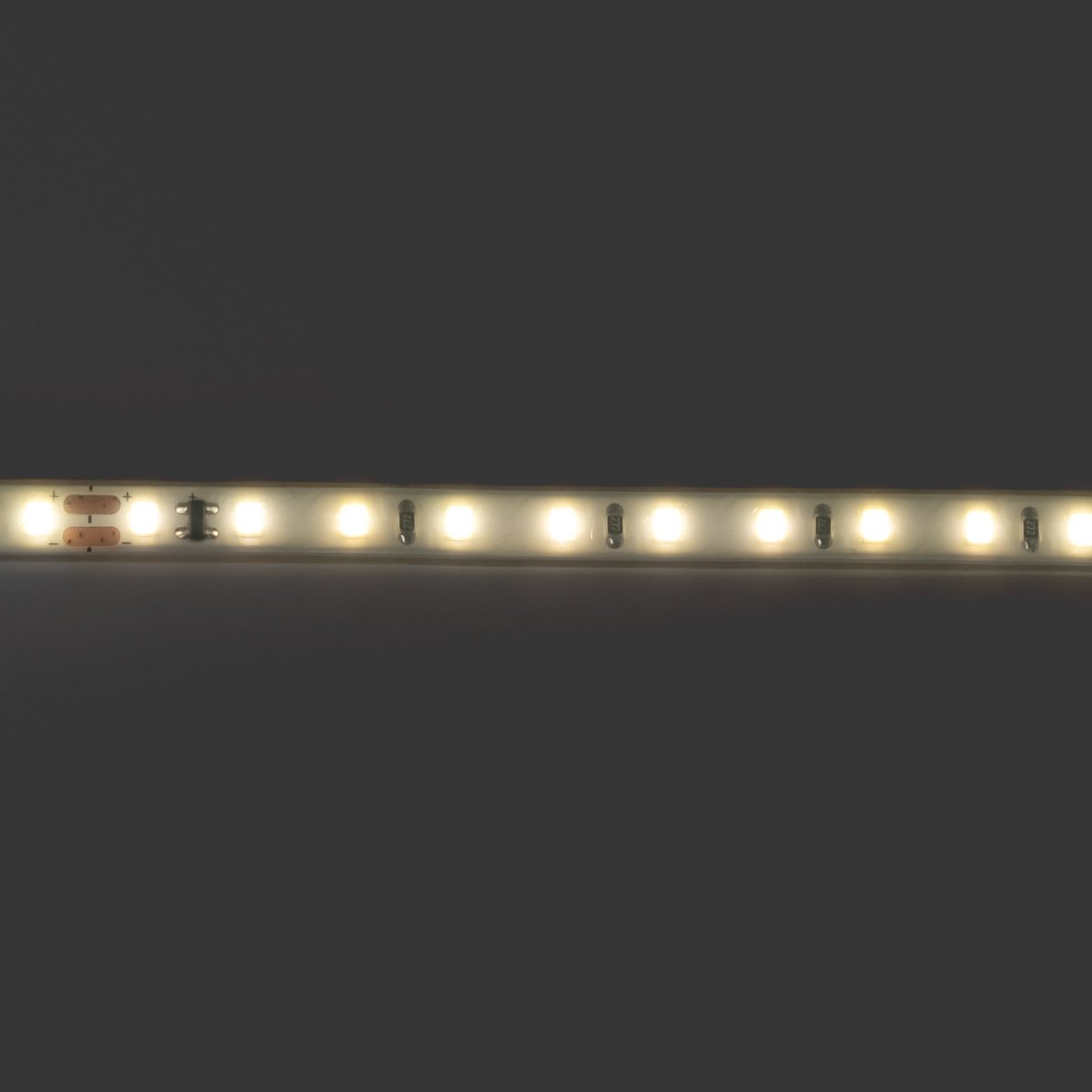 Tira LED 220V AC - Monocolor - 8W/m - 6.5mm - IP44 - 5 metros - 120ch/m - Barcelona Led-