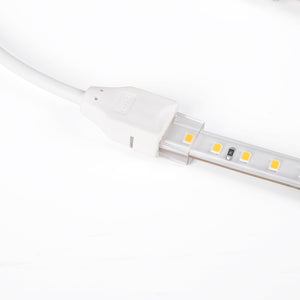 Conector con cable para tira LED IP65 monocolor SMD 2835 - 10mm (6)