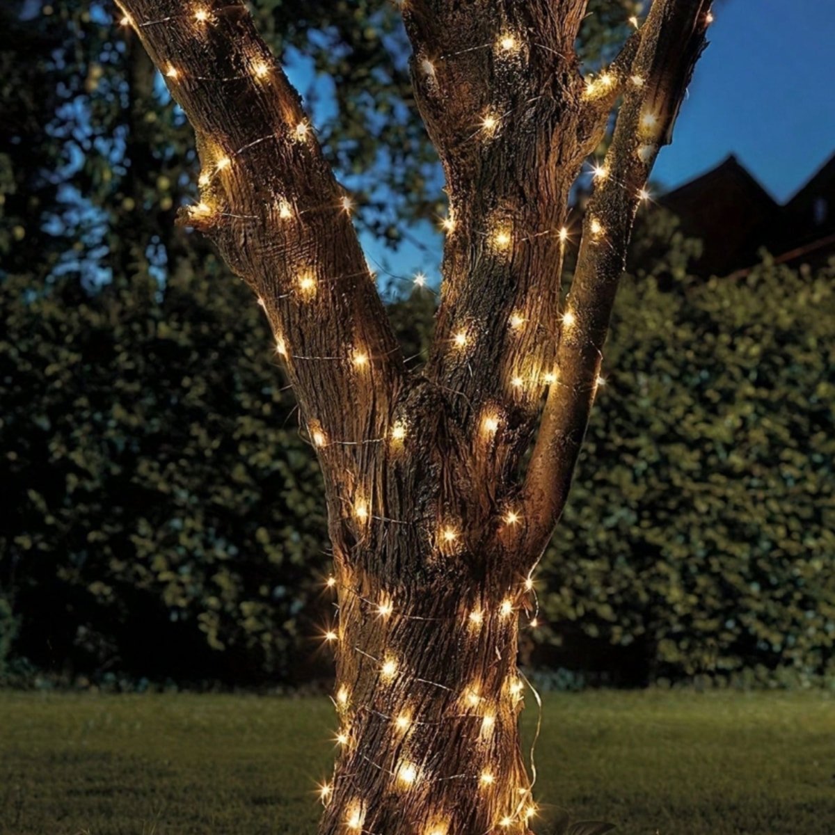 Guirnalda solar en alambre plateado - IP44 - 100 luces - Blanco cálido - 10 metros - Barcelona Led-