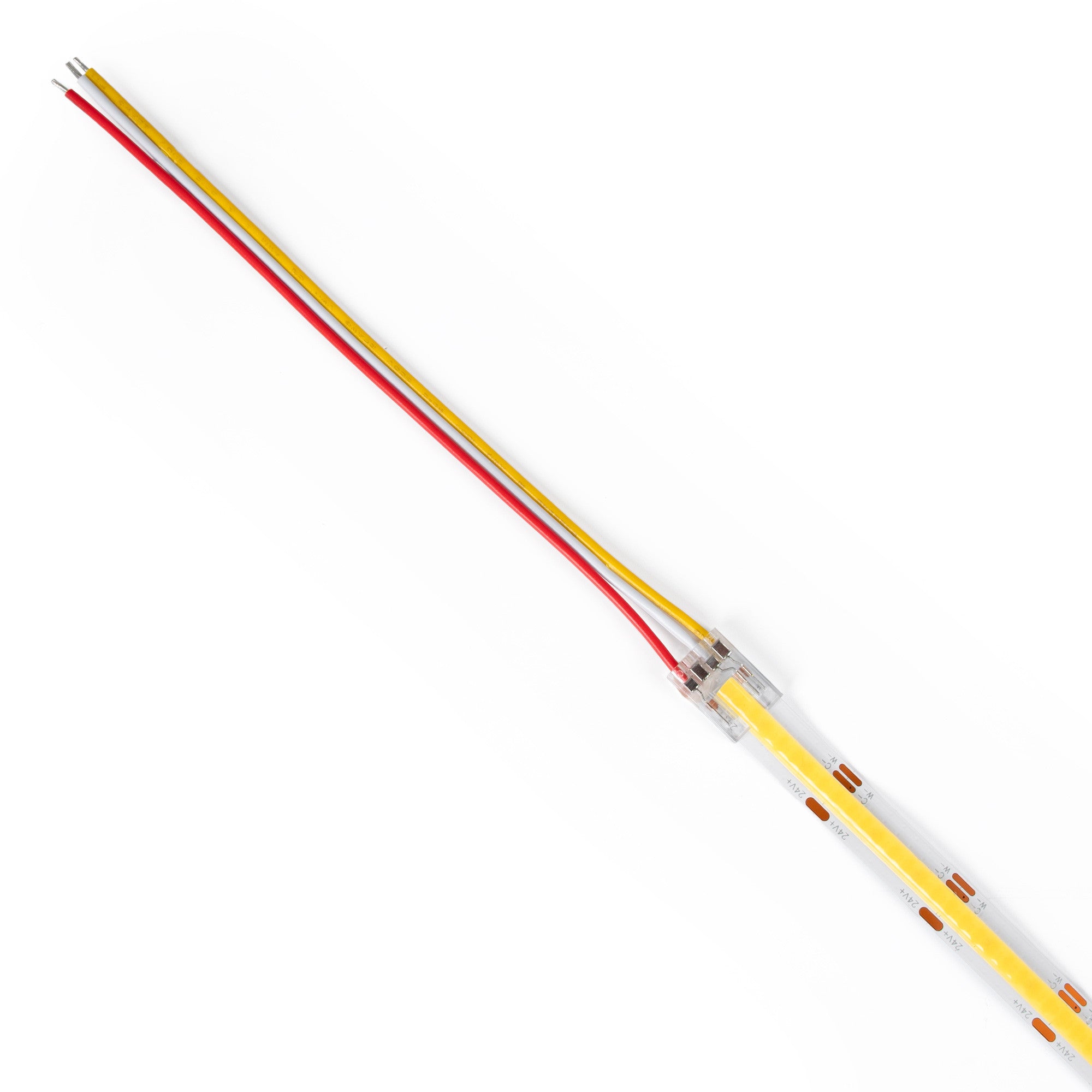 Conector tira LED COB a fuente de alimentación - CCT - 10mm - IP20 (2)