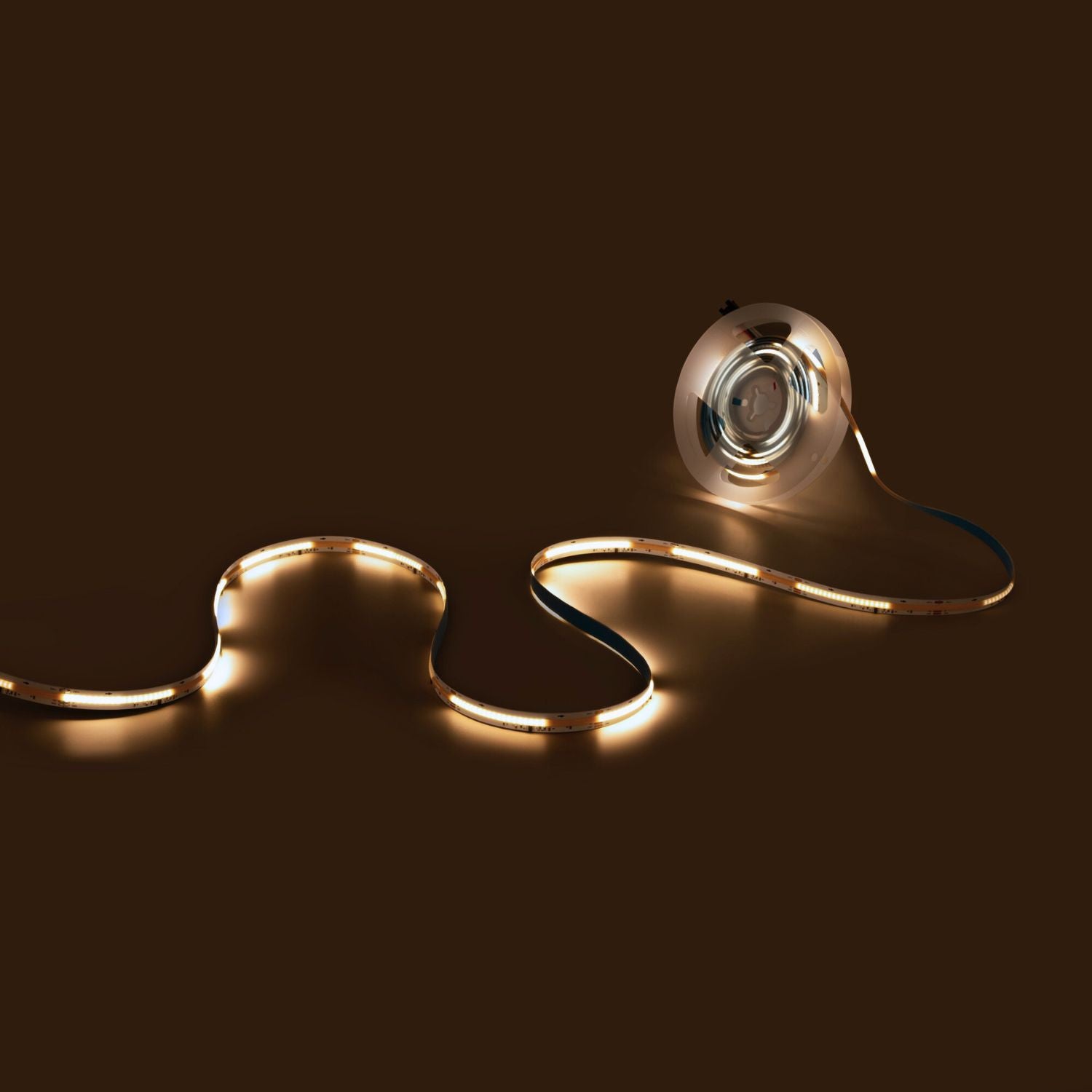 Tira LED COB monocolor inteligente IC 24V DC - 12W/m - IP20 - 360ch/m - Ancho 10mm - 5 metros (10)