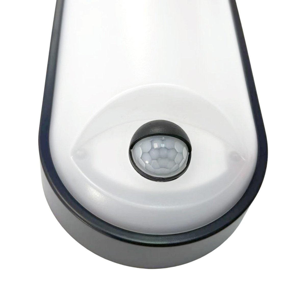 Plafón LED exterior ovalado con sensor PIR - 15W - CCT - IP65 - Barcelona Led-Decoración