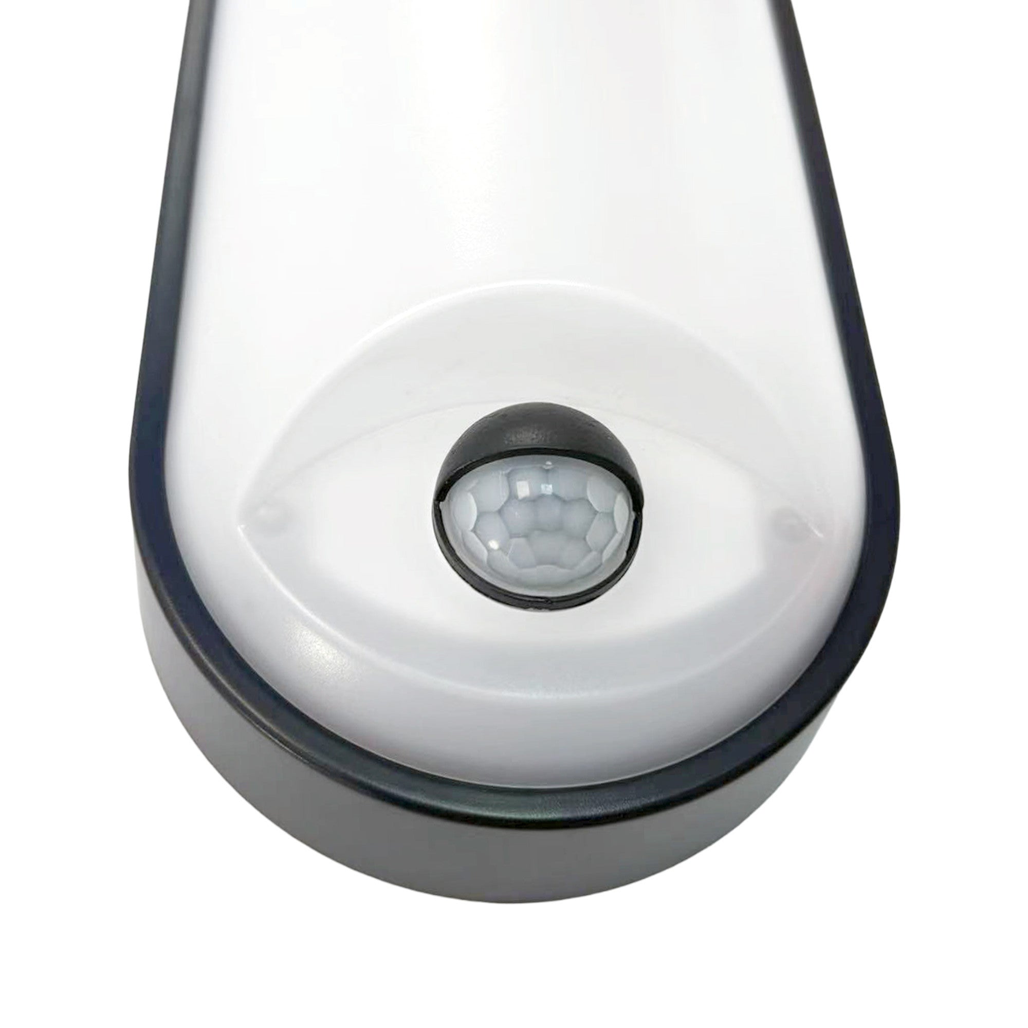 Plafón LED exterior ovalado con sensor PIR - 15W - CCT - IP65 (5)