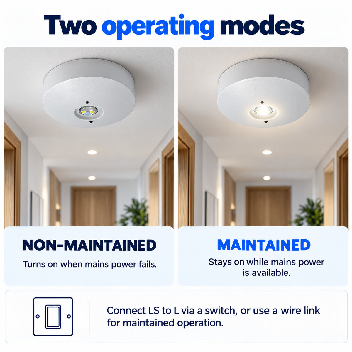 Luz de Emergencia y Permanente LED para superficie 150lm 2,5W - 3 horas IP20 (10)