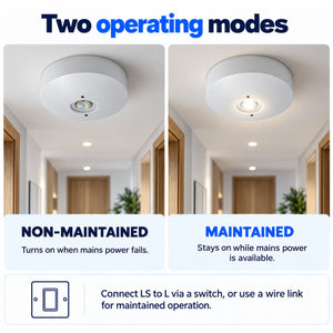 Luz de Emergencia y Permanente LED para superficie 150lm 2,5W - 3 horas IP20 (10)