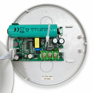 Luz de Emergencia y Permanente LED para superficie 150lm 2,5W - 3 horas IP20 (9)