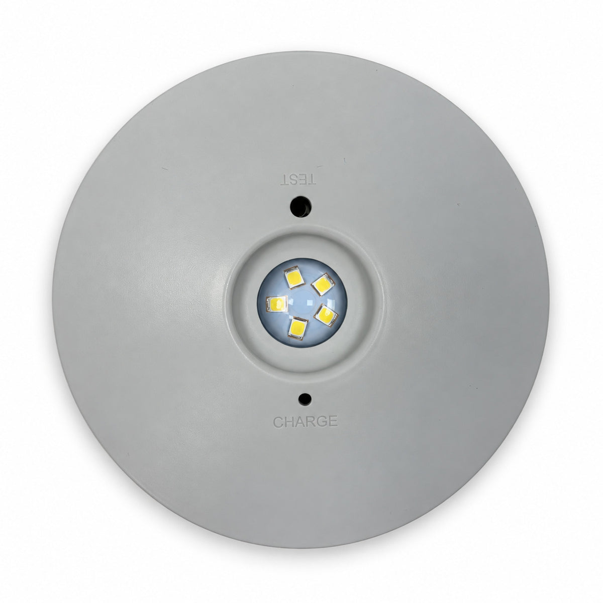 Luz de Emergencia y Permanente LED para superficie 150lm 2,5W - 3 horas IP20 (6)