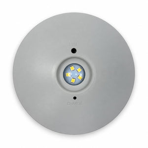 Luz de Emergencia y Permanente LED para superficie 150lm 2,5W - 3 horas IP20 (6)