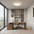 LED ceiling light with remote control - CCT - 23W - CRI80 - IP20 4