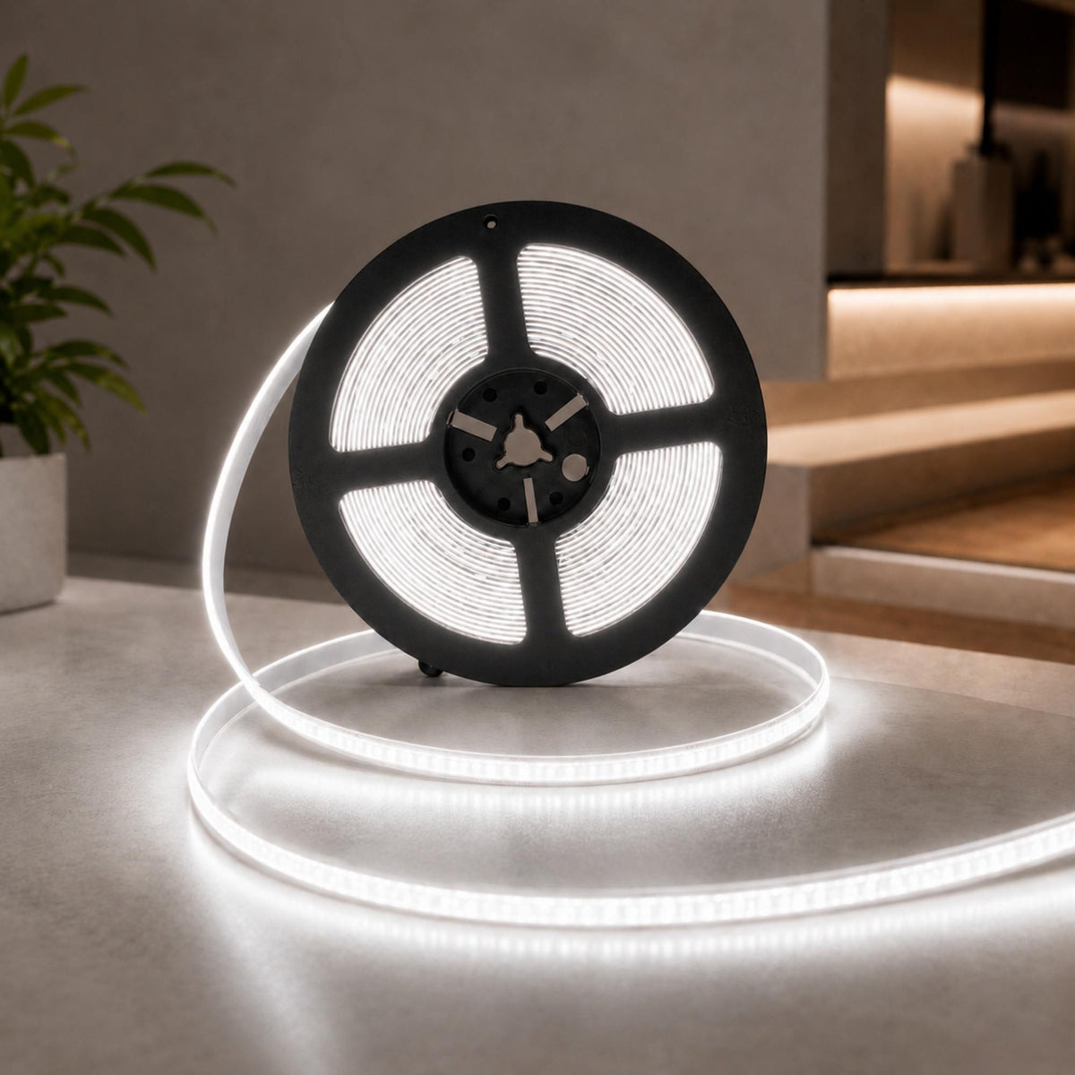 Tira LED COB 24V DC - 12W/m - 10mm - IP20 - Rollo de 10 metros - Corte cada 5cm (15)