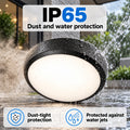 Plafón LED de techo estanco - CCT - 18W - Ø25cm - 1920lm - IP65 2