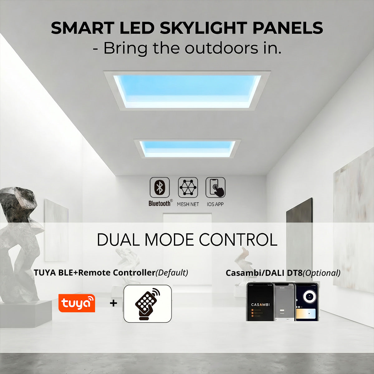 Panel Blue Skylight efecto cielo "SKYWIN SR SMART" - Slim - CCT - 45W - 60x30cm (13)
