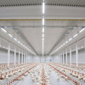 Waterdicht buisarmatuur voor industrieel gebruik - 120cm - 30W - IP65 - IK10 5