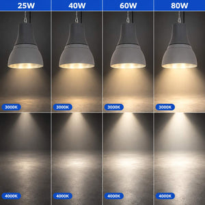 Campana LED comercial CCT -  (25W / 40W /60W / 80W) - Difusor aluminio - UGR19 - Driver Lifud 0-10V (2)