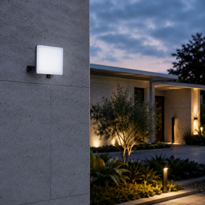 Proyector LED de exterior - 30W - 100 lm/W - Sensor Series - Negro - IP65 (5)
