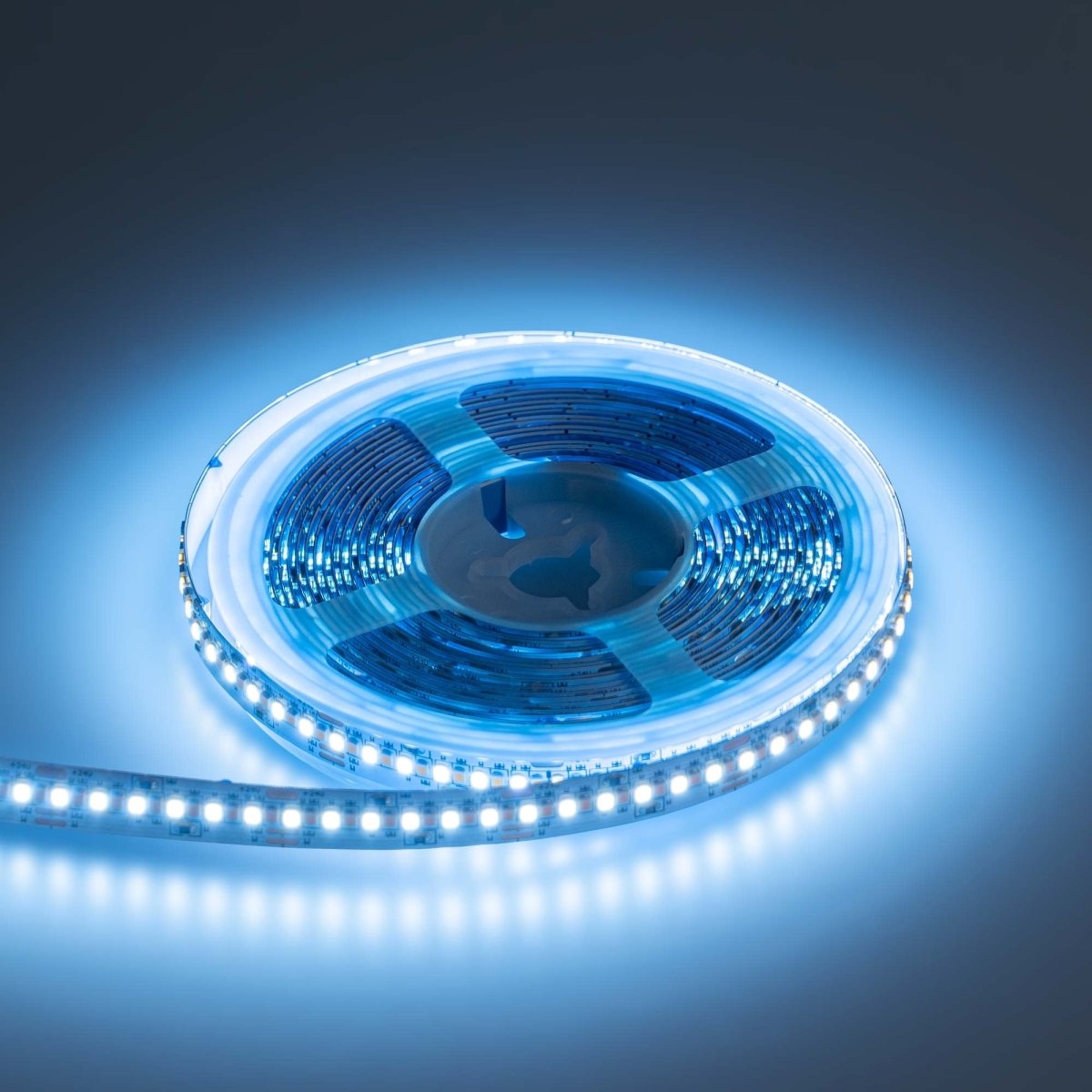 Tira LED SMD2216 - CCT - 24V DC - 30W/m - 10mm - IP20 - 5 metros - Barcelona Led-